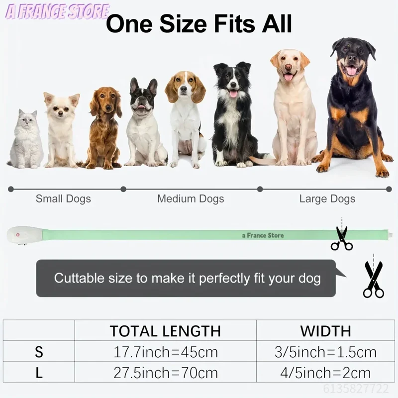 Collier LED Rechargeable Silicone Chien