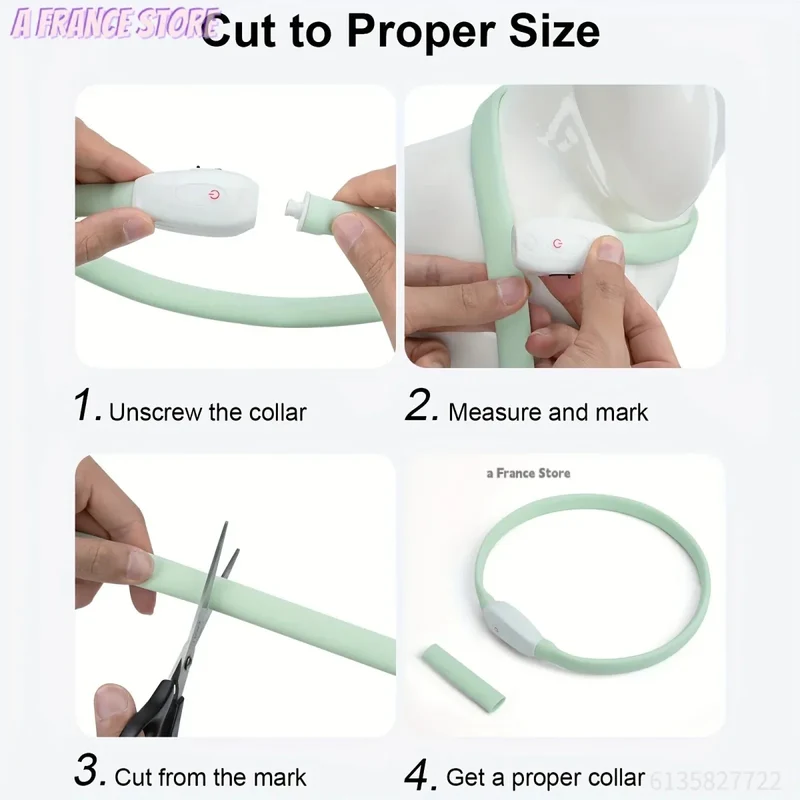 Collier LED Rechargeable Silicone Chien