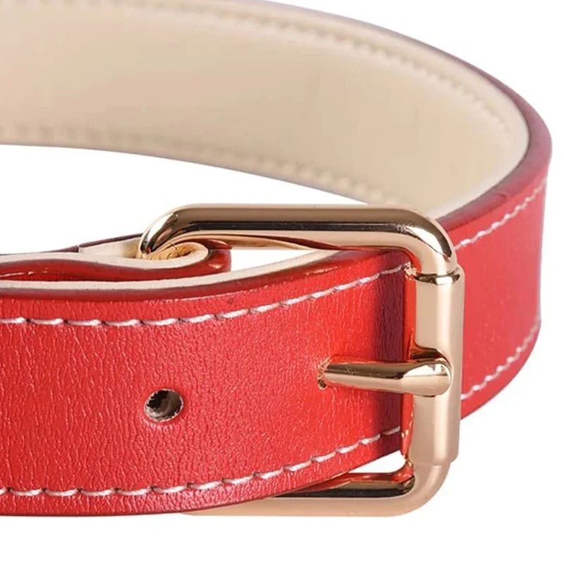 Collier Cuir Rouge Rembourré Gros Chien