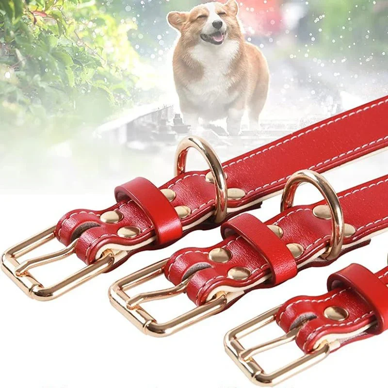 Collier Cuir Rouge Rembourré Gros Chien