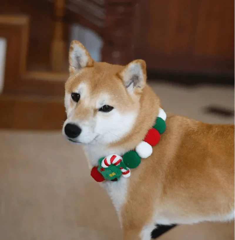 Collier Festif Noël Gros Chien Réglable