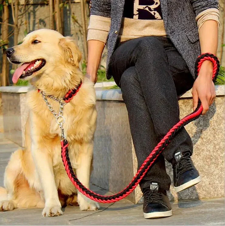 Laisse Corde Tressée Paracord Gros Chien