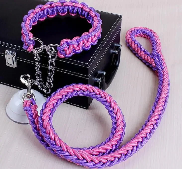 Laisse Corde Tressée Paracord Gros Chien