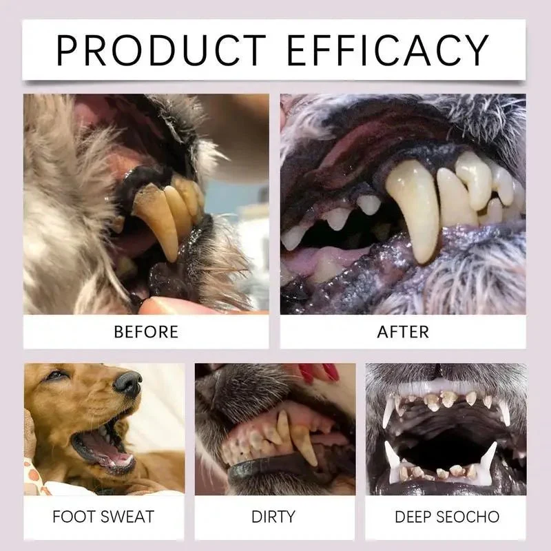 Stylo Brosse Dents Chien Lot 2