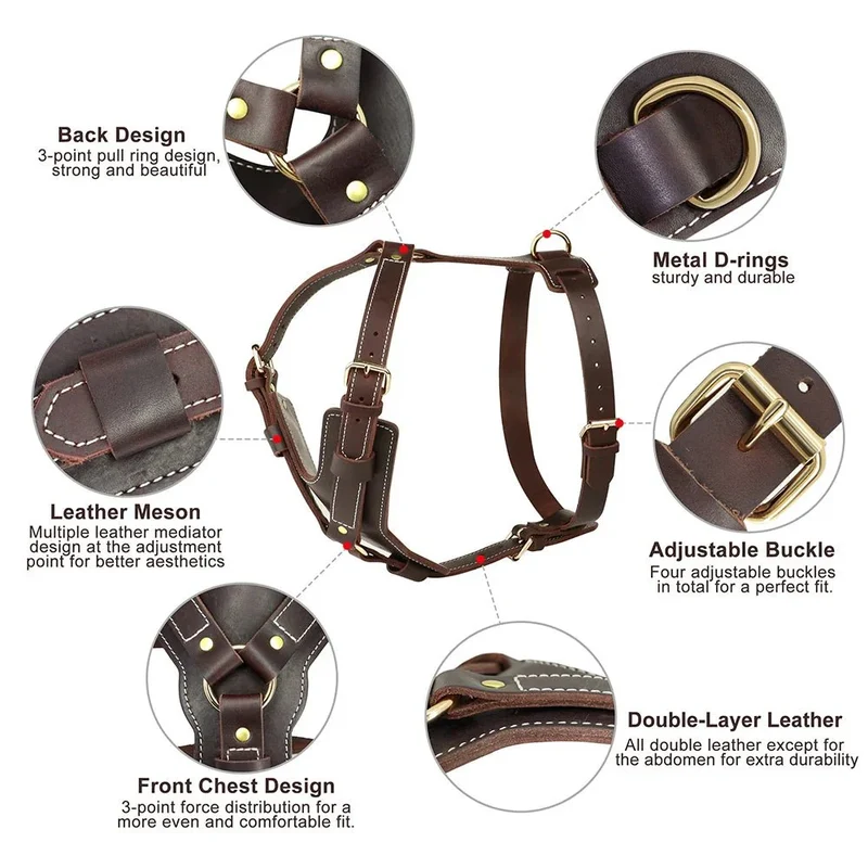 Harnais Cuir Véritable Luxe Molosse