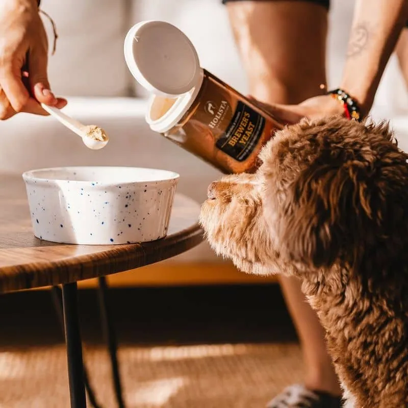 LEVURE DE BIÈRE POUR CHIEN ET CHAT - COMPLÉMENT PEAU & PELAGE (200G)