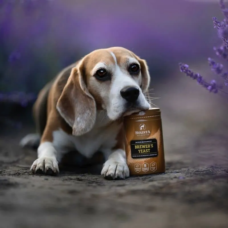 LEVURE DE BIÈRE POUR CHIEN ET CHAT - COMPLÉMENT PEAU & PELAGE (200G)