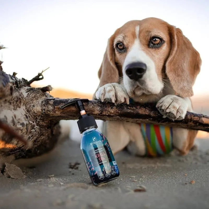 HUILE DE KRILL POUR CHIEN ET CHAT
