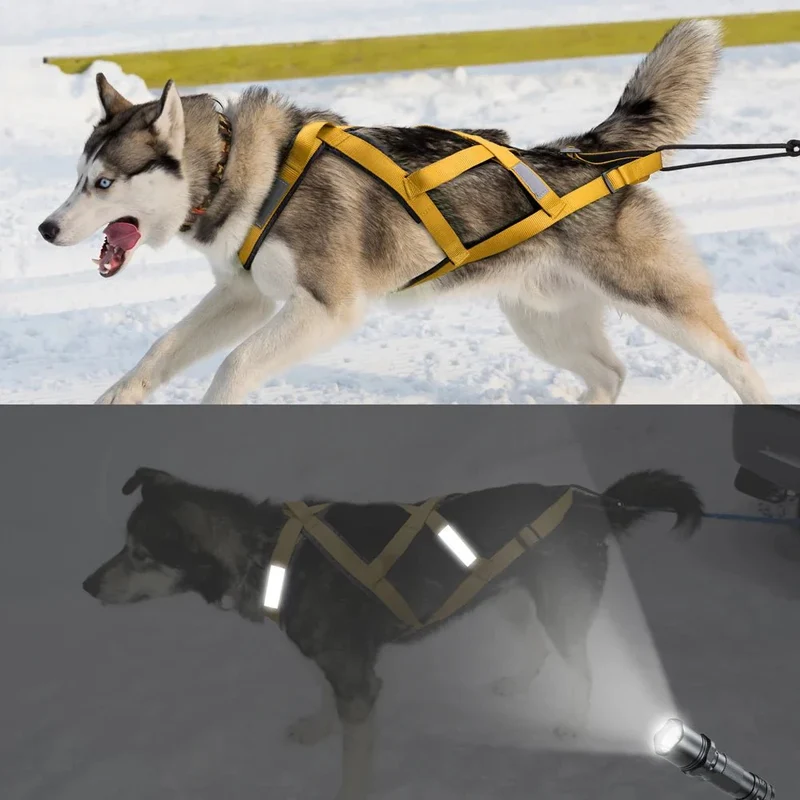 Harnais Traîneau Mushing Chien Plastron