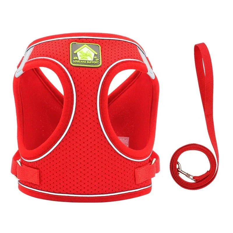 Harnais Petit Chien 4kg Réglable Respirant