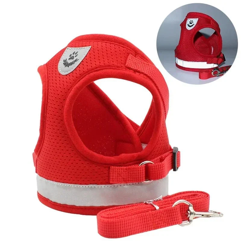 Harnais Respirant Petit Chien 6kg Confort