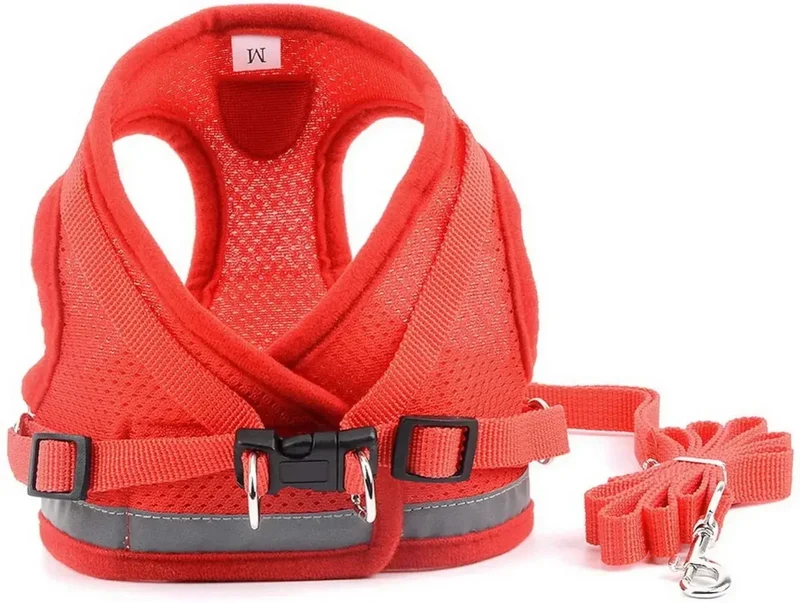 Harnais Respirant Petit Chien 6kg Confort