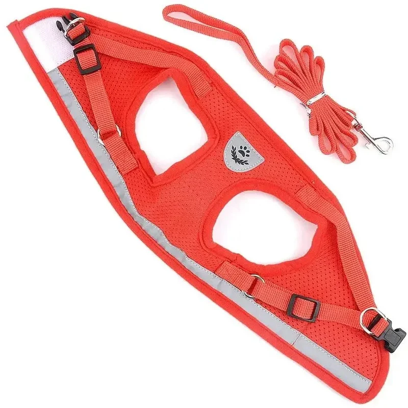Harnais Respirant Petit Chien 6kg Confort