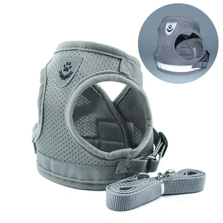Harnais Respirant Petit Chien 6kg Confort