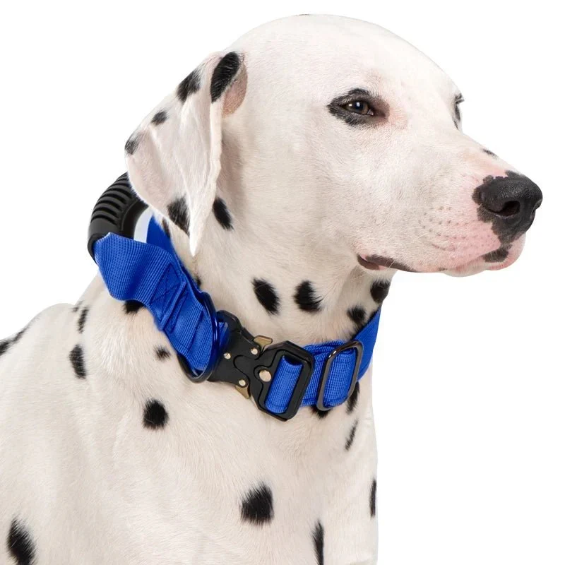 Collier Poignée Contrôle Gros Chien Tactique