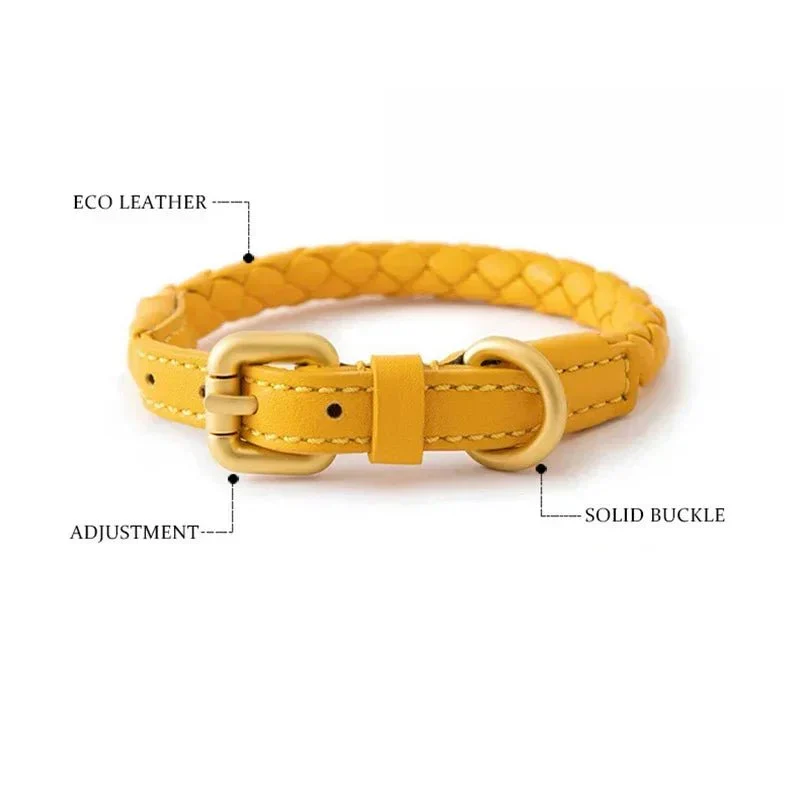 Collier Cuir Rond Tressé Premium Molosse