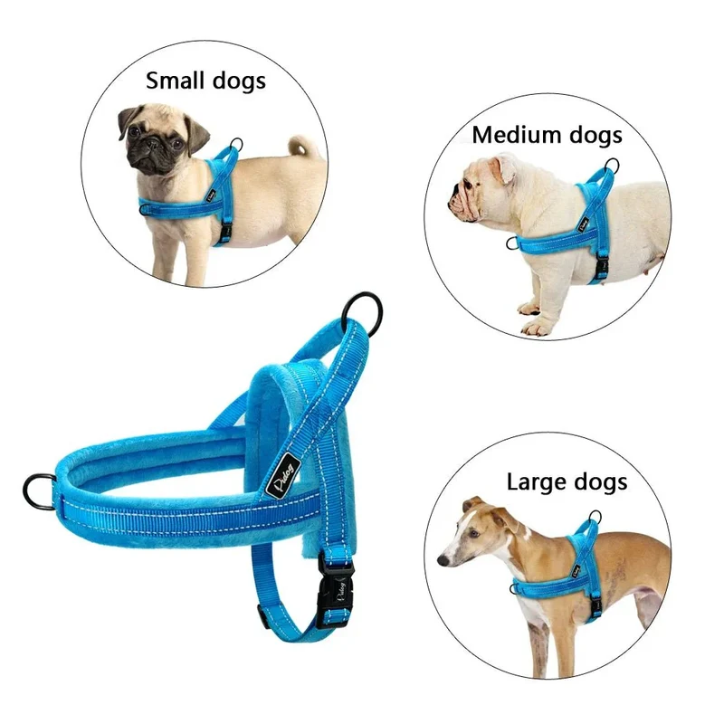 Harnais Anti-Traction Éducation Gros Chien