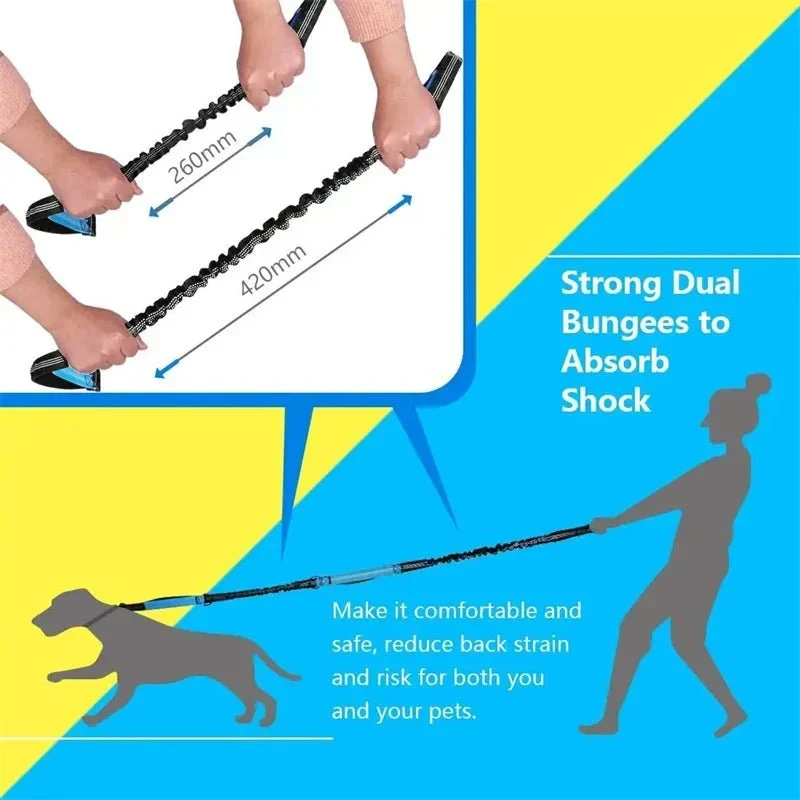Laisse Anti-Traction Bungee Réfléchissante Gros Chien