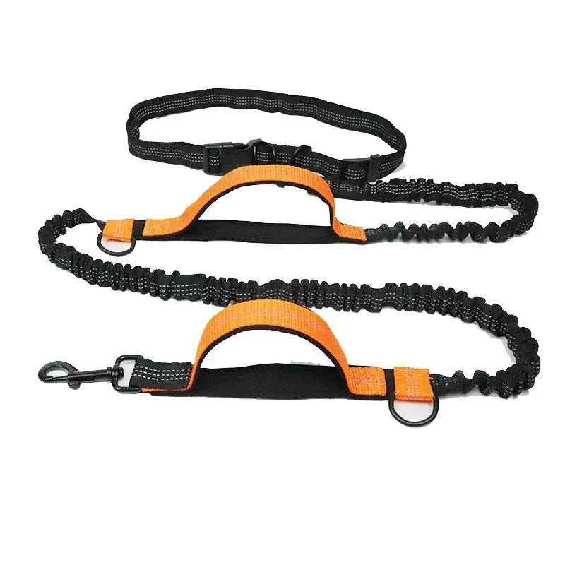 Laisse Anti-Traction Bungee Réfléchissante Gros Chien