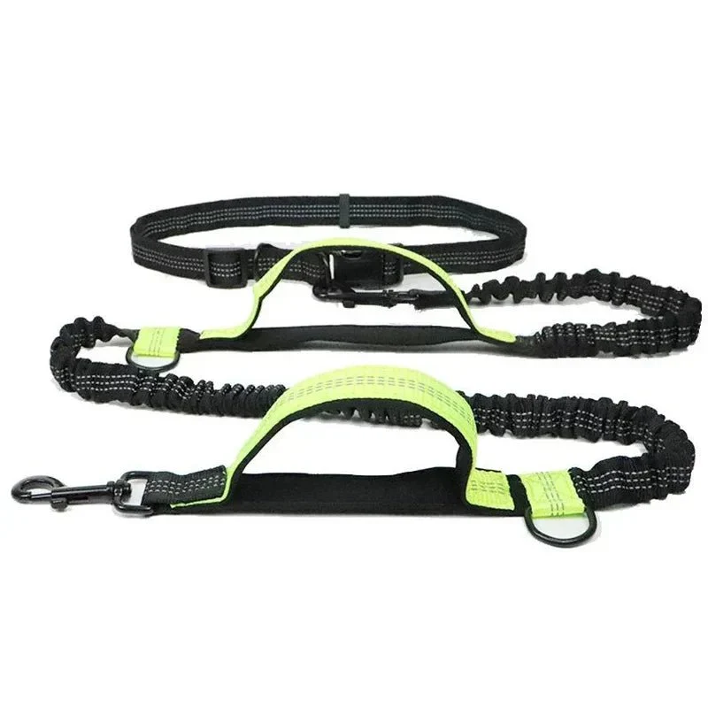 Laisse Anti-Traction Bungee Réfléchissante Gros Chien