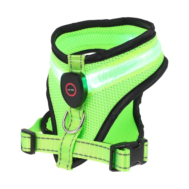 Harnais LED Rechargeable Petit Molosse