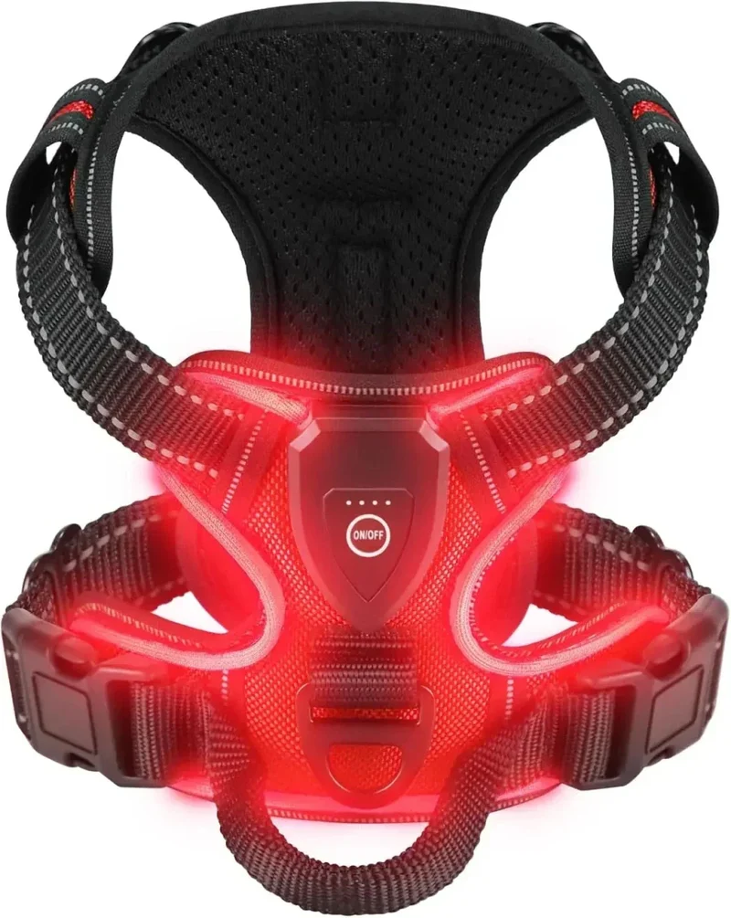 Harnais Fluo LED Rechargeable Molosse