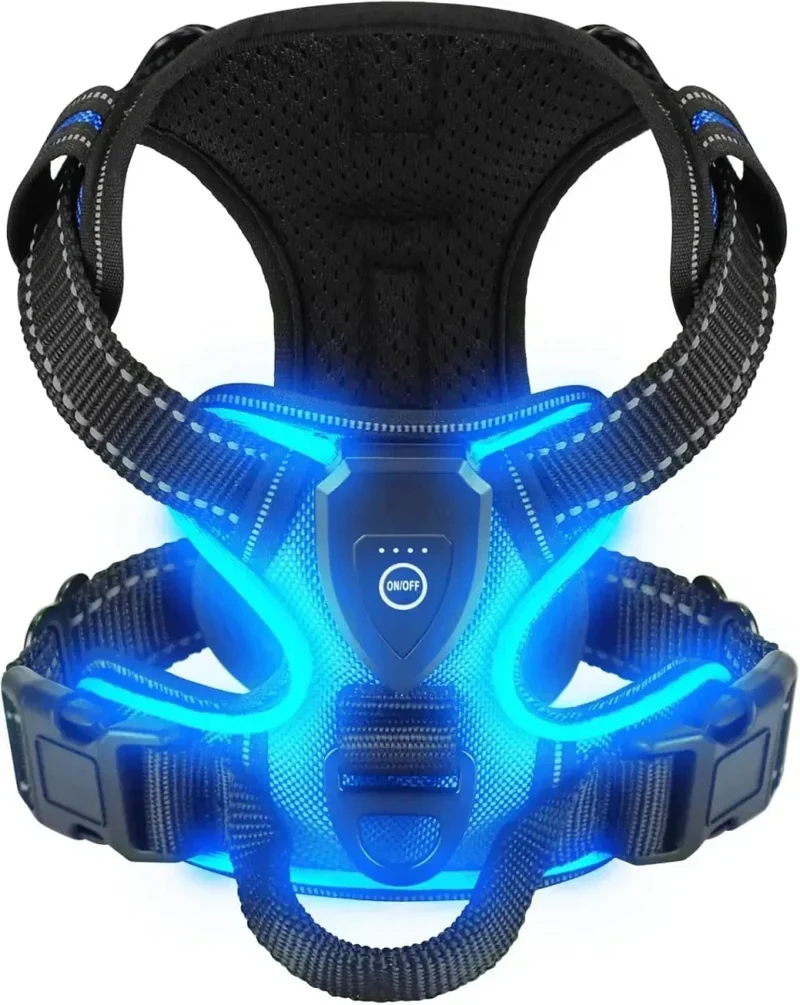 Harnais Fluo LED Rechargeable Molosse