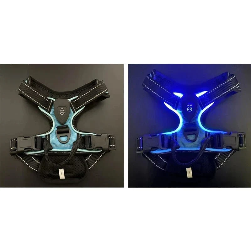 Harnais Fluo LED Rechargeable Molosse