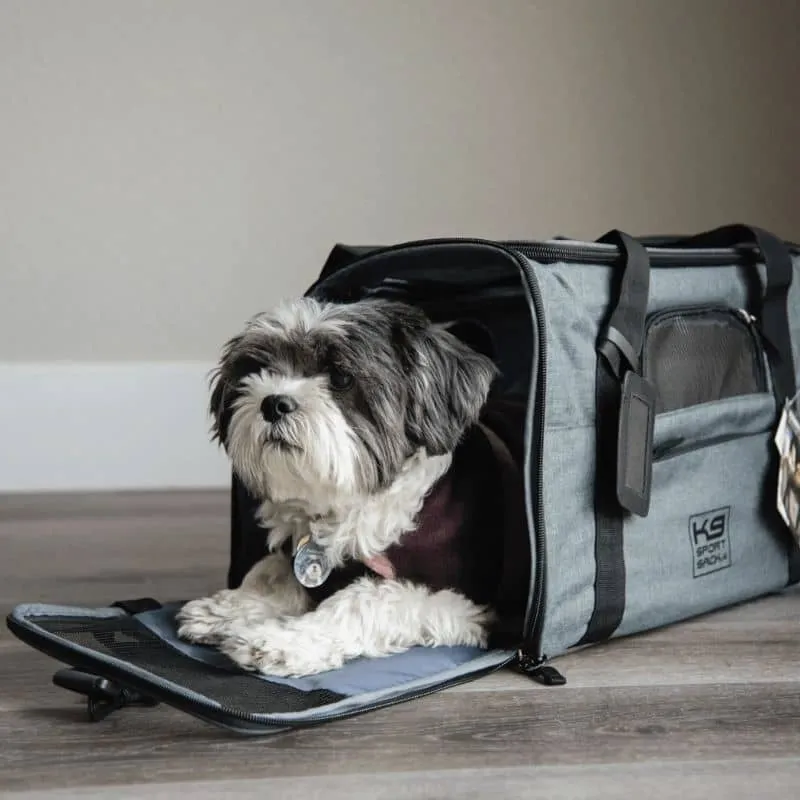 SAC DE TRANSPORT POUR CHIEN ET CHAT HOMOLOGUÉ AVION - GRIS