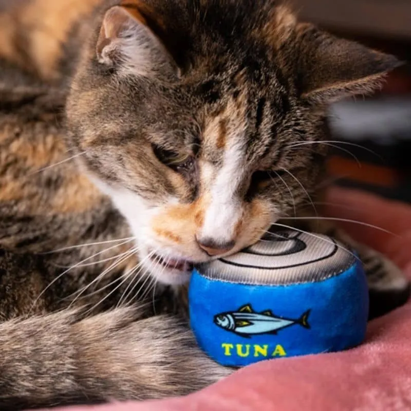 JOUET POUR CHAT À L’HERBE À CHAT - BOÎTE DE THON 🐟
