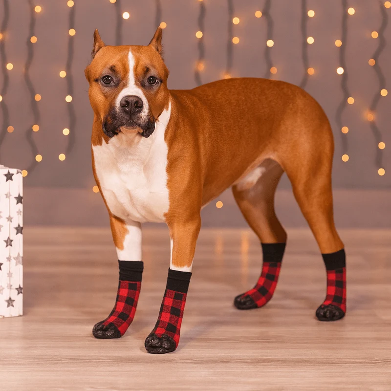 Chaussettes Antidérapantes Ajustables Gros Chien