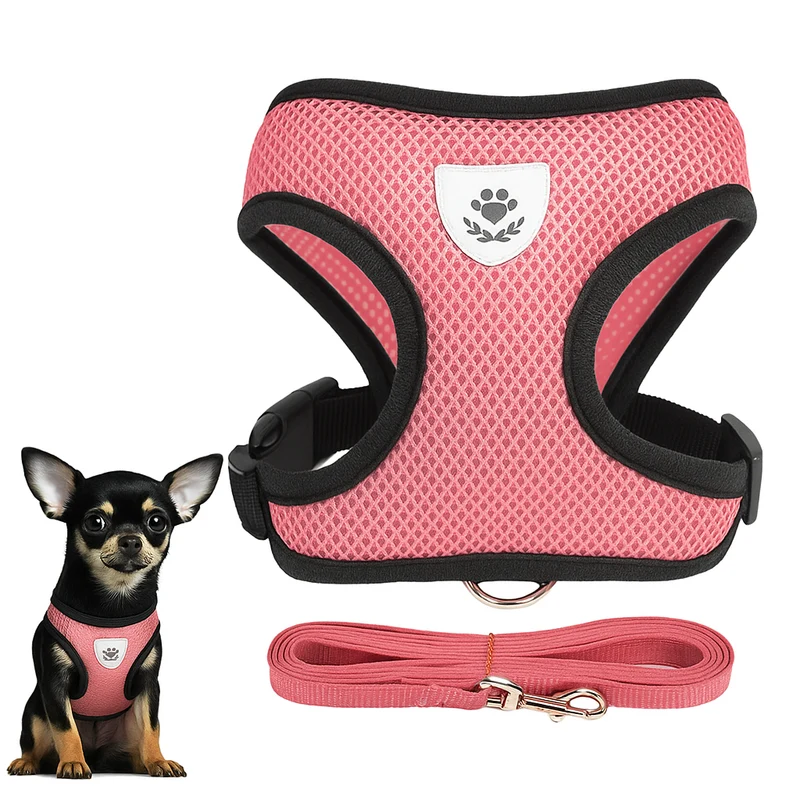 Set Harnais Laisse Petit Chien Coloré Confort