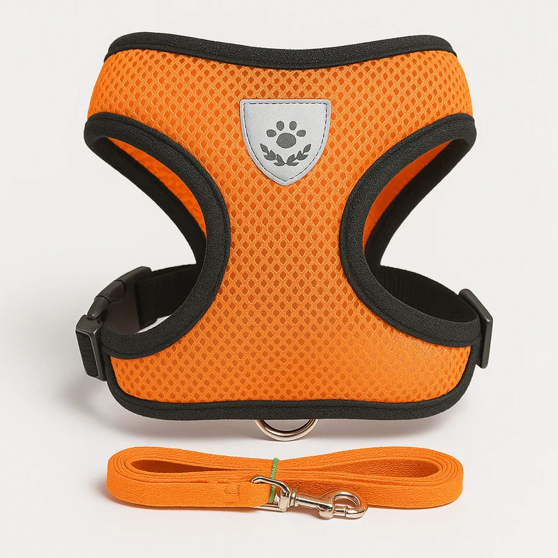 Set Harnais Laisse Petit Chien Coloré Confort