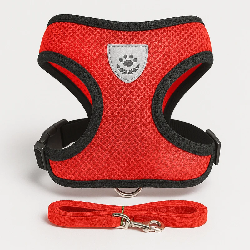 Set Harnais Laisse Petit Chien Coloré Confort