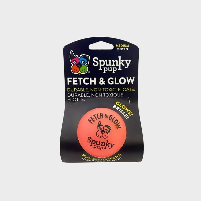 BALLE PHOSPHORESCENTE POUR CHIEN TAILLE M - FETCH & GLOW (BRILLE DANS LE NOIR)