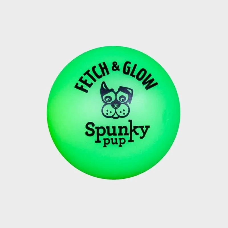 BALLE PHOSPHORESCENTE POUR CHIEN TAILLE M - FETCH & GLOW (BRILLE DANS LE NOIR)