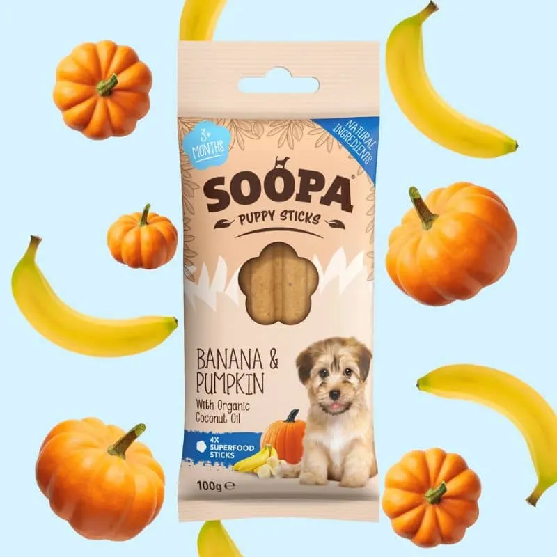 BÂTONNETS DENTAIRES À MÂCHER POUR CHIOT - BANANE ET CITROUILLE