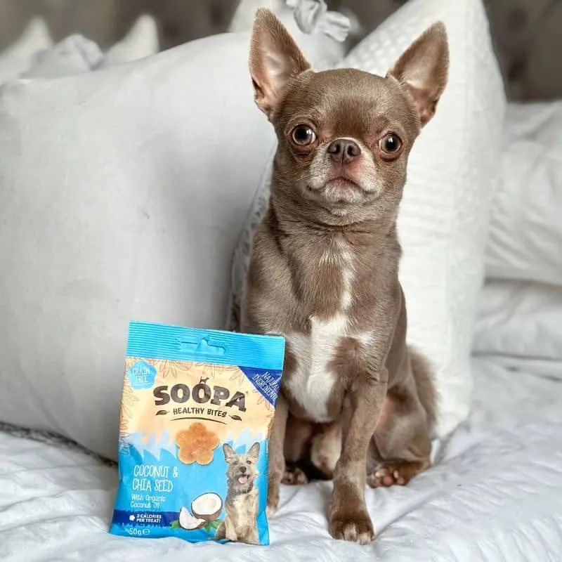 FRIANDISES D'ÉDUCATION POUR CHIEN - NOIX DE COCO ET GRAINES DE CHIA