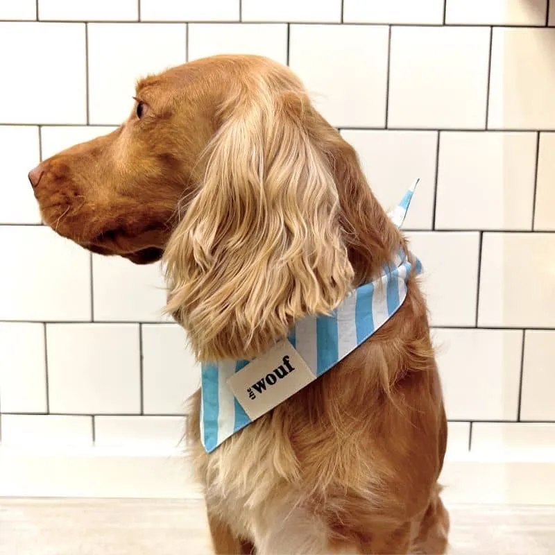 BANDANA POUR CHIEN - RAYURES BLEU