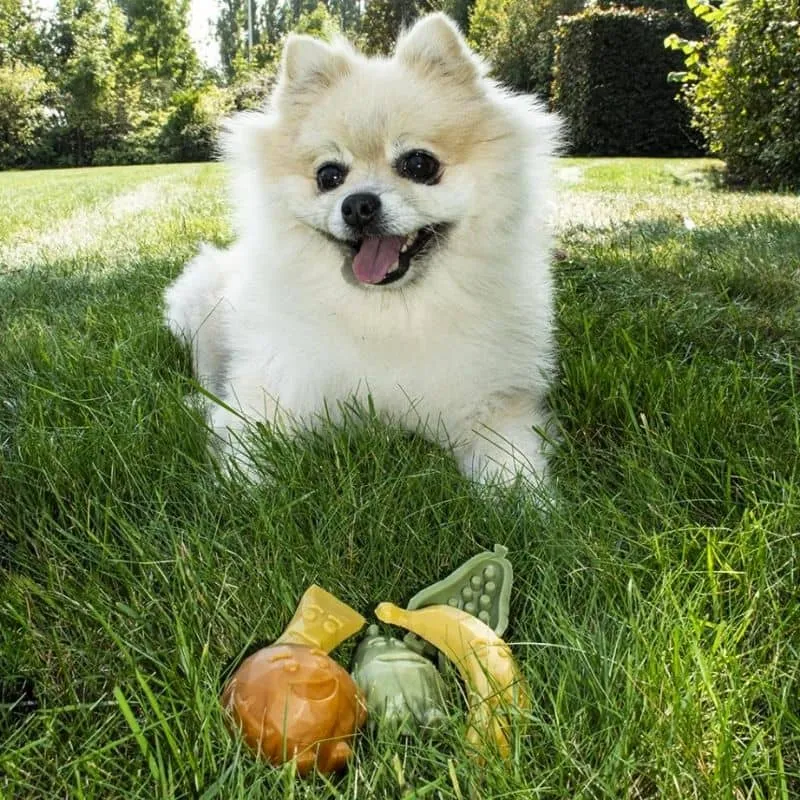 FRIANDISE DENTAIRE À MÂCHER POUR CHIEN - FRUIT (2 TAILLES DISPO )🍌🍑🍐