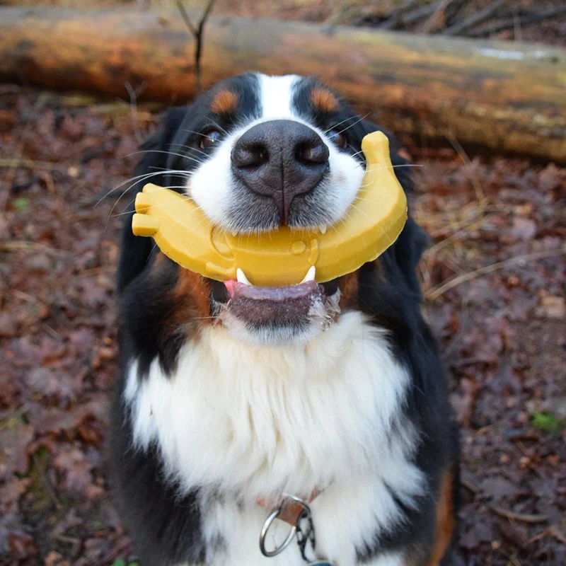 FRIANDISE DENTAIRE À MÂCHER POUR CHIEN - FRUIT (2 TAILLES DISPO )🍌🍑🍐