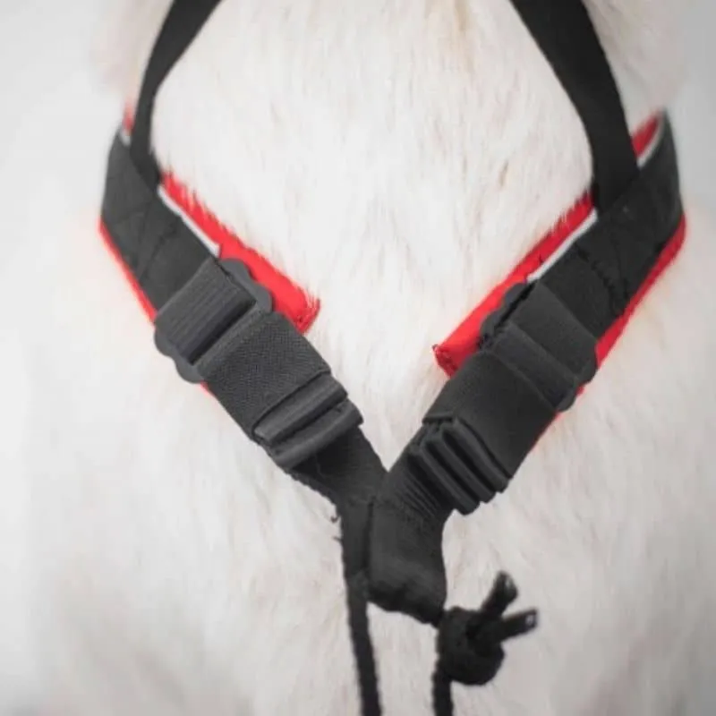HARNAIS DE CANICROSS POLAR QUEST EVO