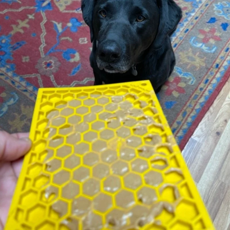 TAPIS DE LÉCHAGE ET D’OCCUPATION COMPACT POUR CHIEN ET CHAT - MOTIF NID D'ABEILLE 🐝