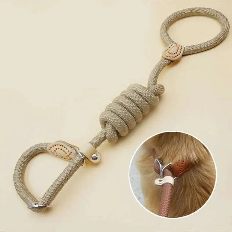 Laisse Lasso Nylon Réglable Multi-Tailles Chien