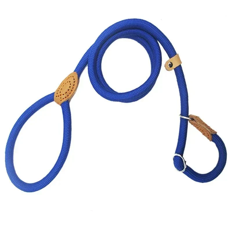 Laisse Lasso Nylon Réglable Multi-Tailles Chien