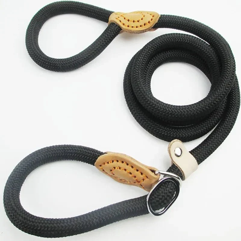 Laisse Lasso Nylon Réglable Multi-Tailles Chien