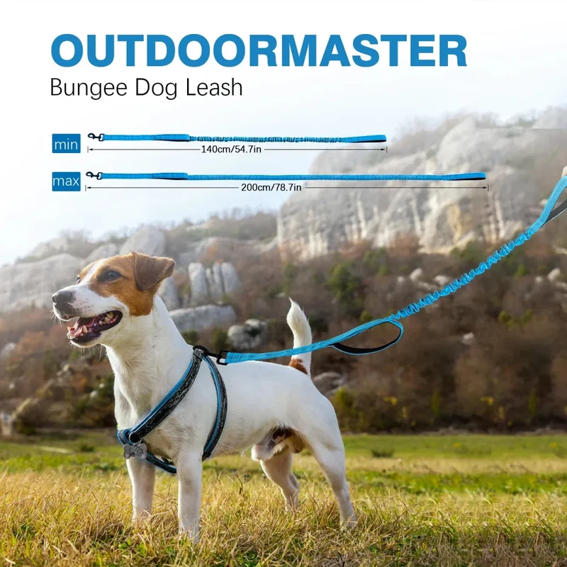 Laisse Canicross Légère Petit Gros Chien