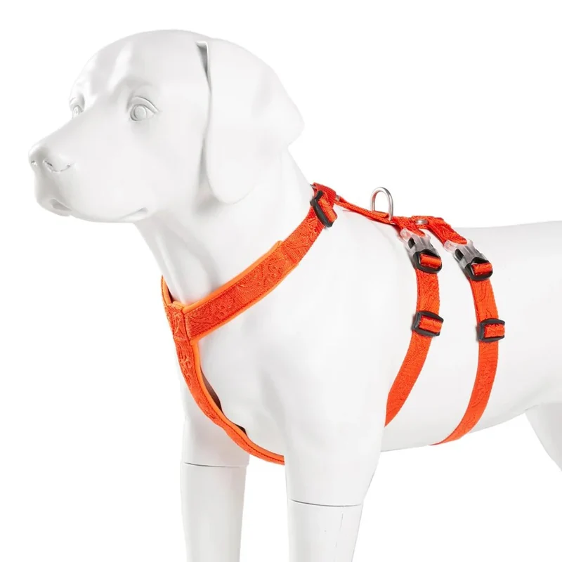 Harnais Anti-Traction Berger Australien Molosse