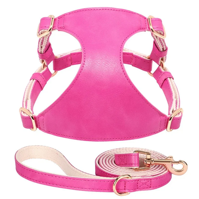 Harnais Cuir Réglable Petit Gros Chien Laisse