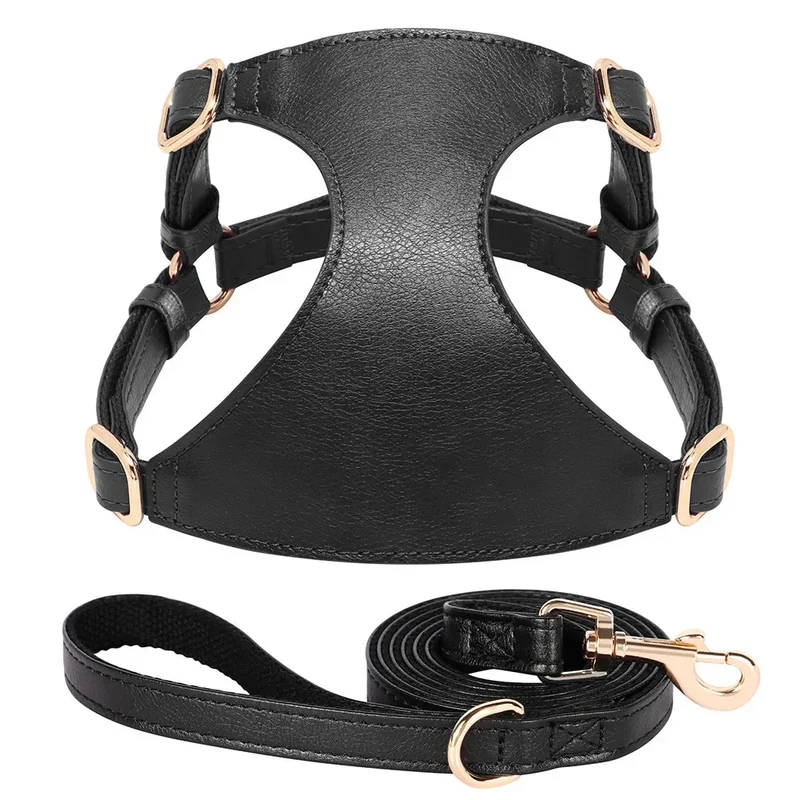 Harnais Cuir Réglable Petit Gros Chien Laisse
